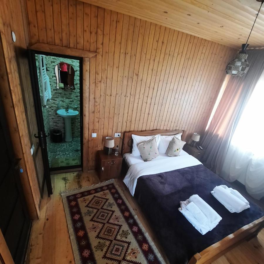 Bana Hotel Kazbegi Kültér fotó