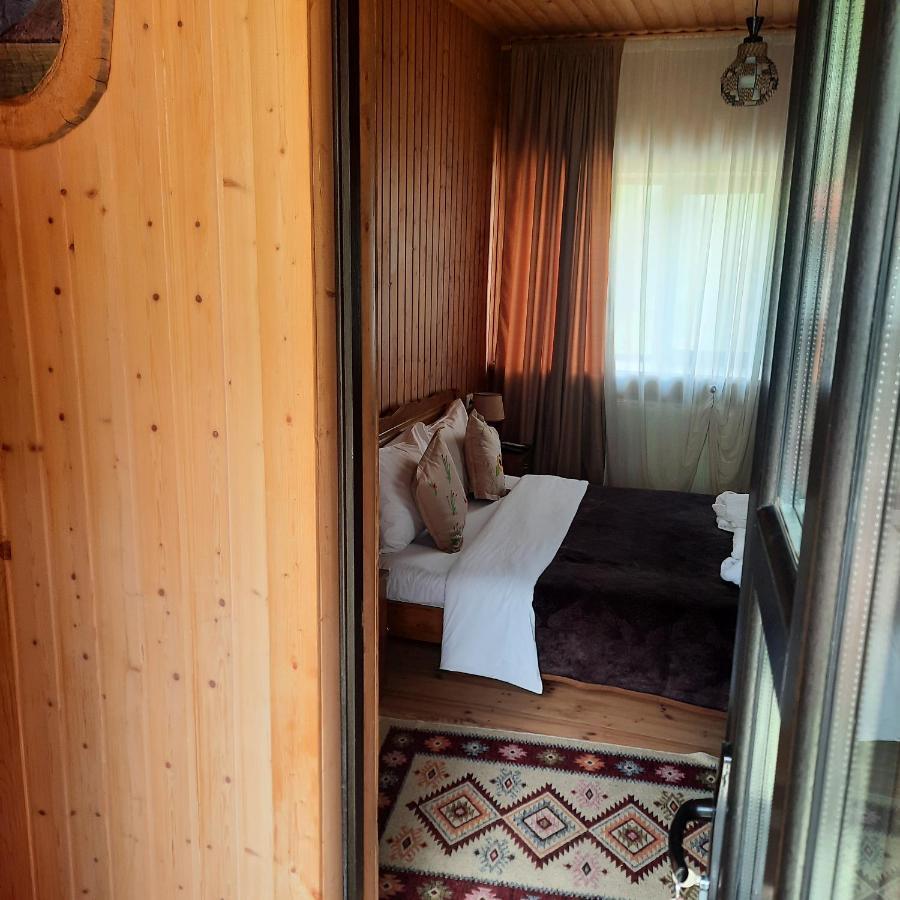 Bana Hotel Kazbegi Kültér fotó