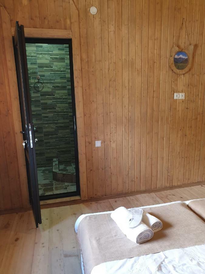 Bana Hotel Kazbegi Kültér fotó