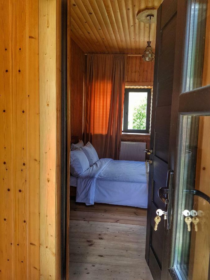 Bana Hotel Kazbegi Kültér fotó
