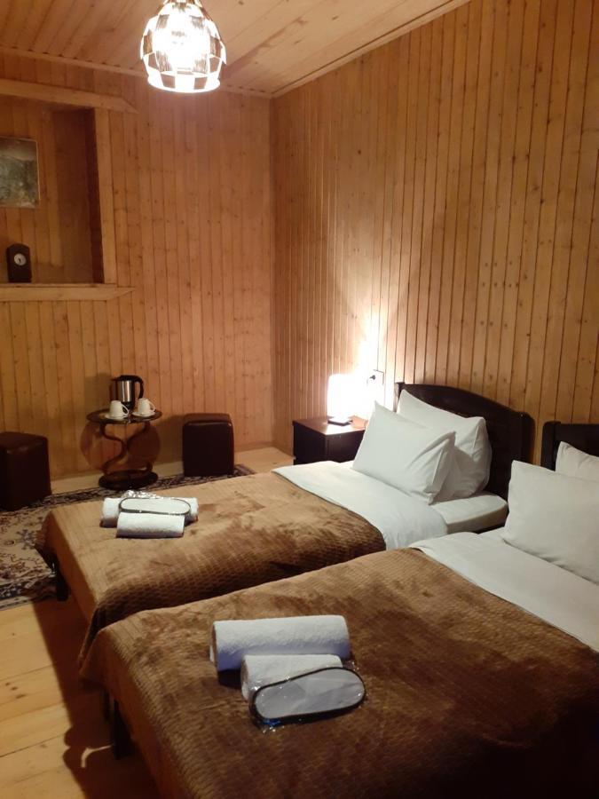 Bana Hotel Kazbegi Kültér fotó