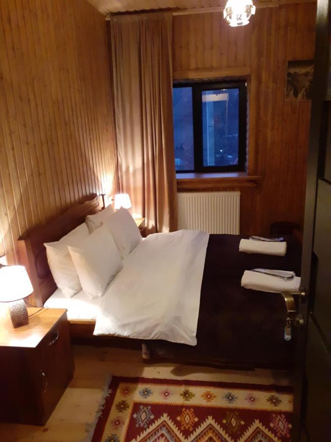 Bana Hotel Kazbegi Kültér fotó
